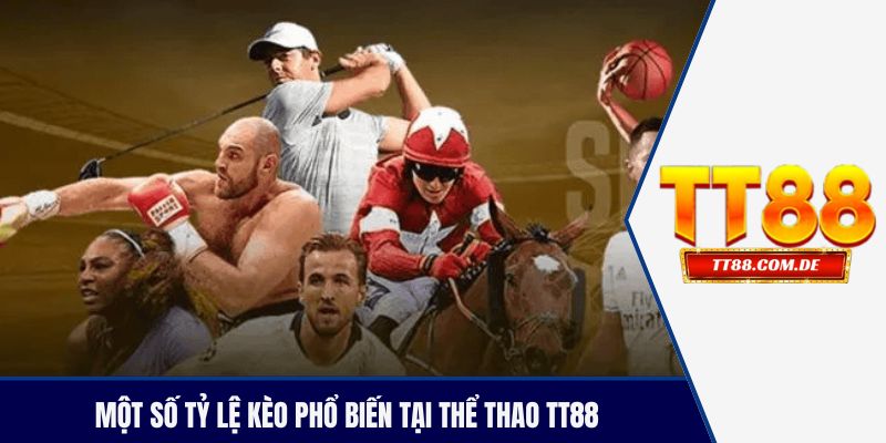 Một số tỷ lệ kèo phổ biến tại thể thao TT88